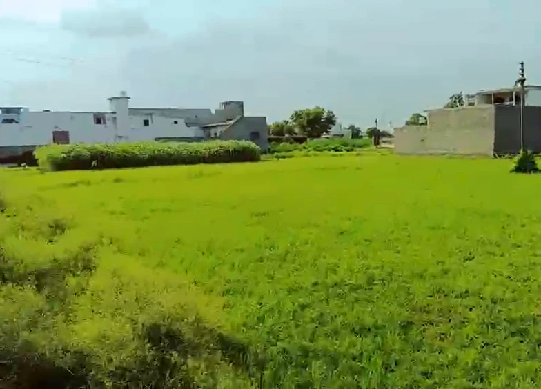 JVHW+GC Polepally - Gannerpalli, Nalgonda, Telangana, India