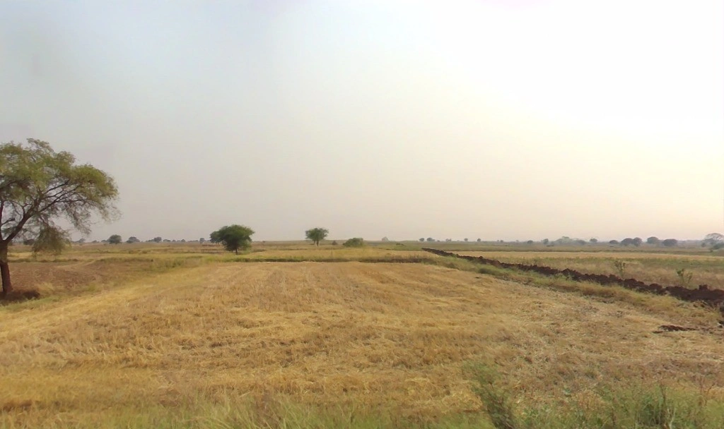 Nawadih, Chhattisgarh 492112, India