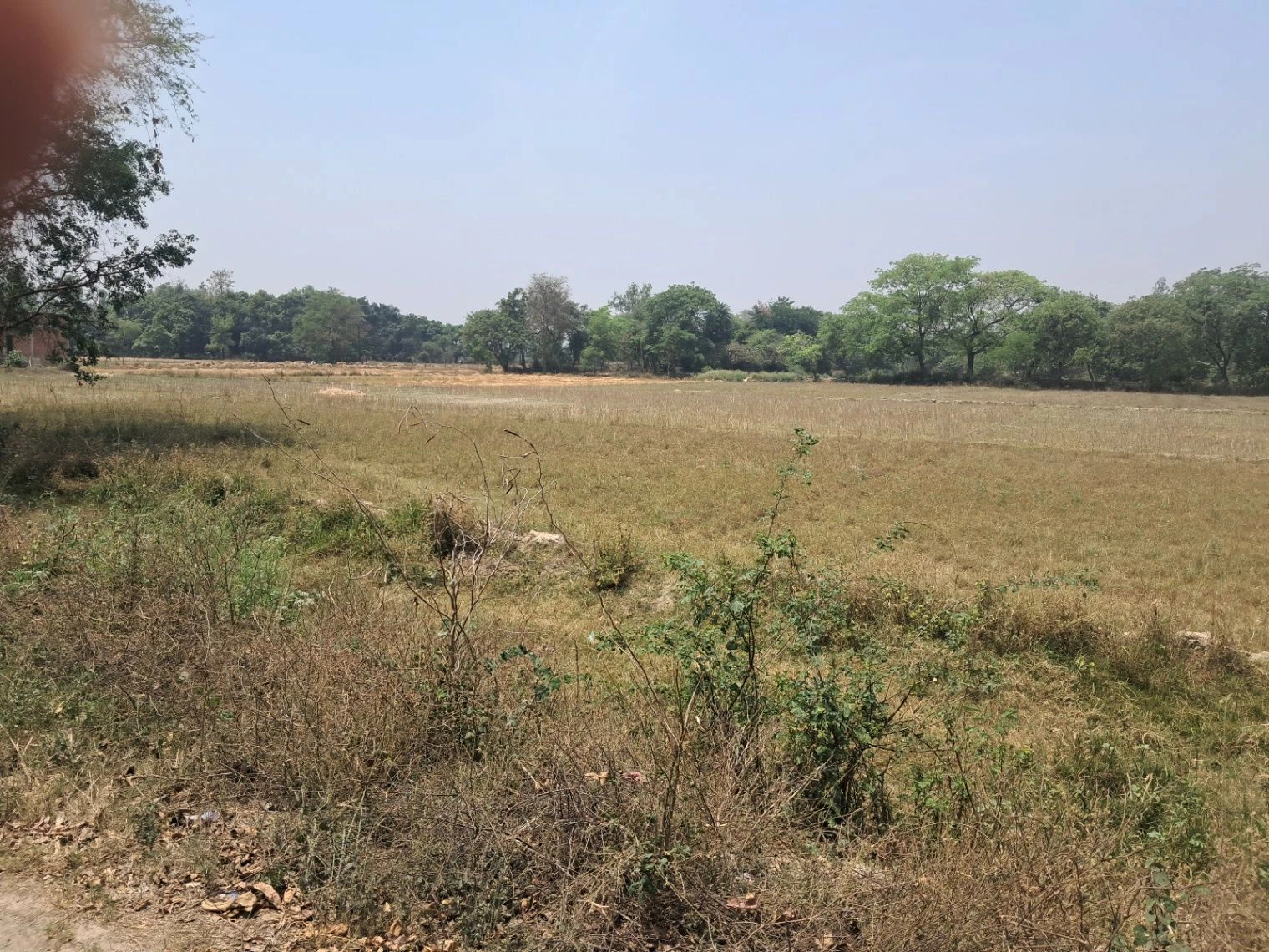 Q54H+48, Faizabad, Uttar Pradesh 224135, India