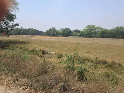 Q54H+48, Faizabad, Uttar Pradesh 224135, India preview 2