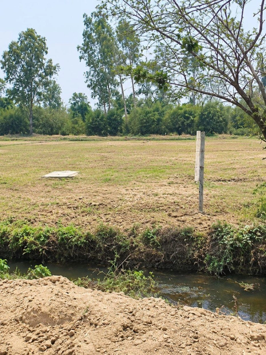 MGXR+QV Asmoli, Sambhal, Uttar Pradesh, India - Photo 3
