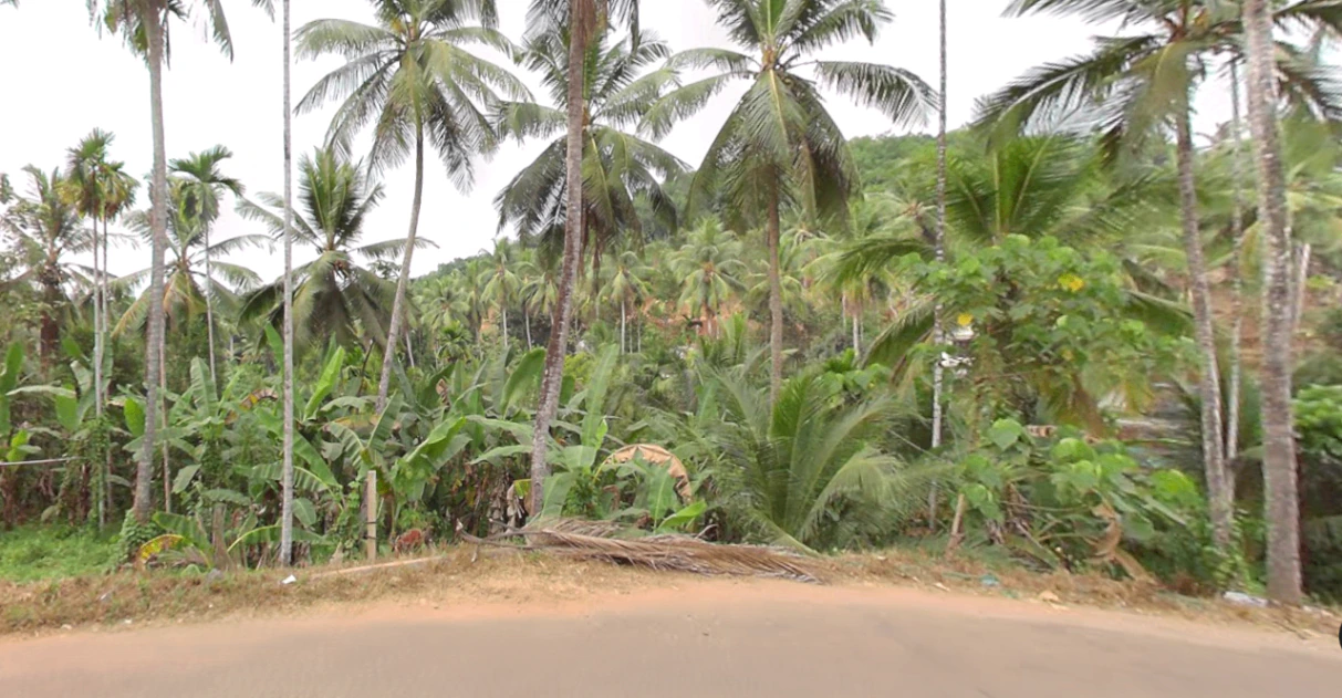 73J5+MVF, Thottumukkam, Kerala 673639, India