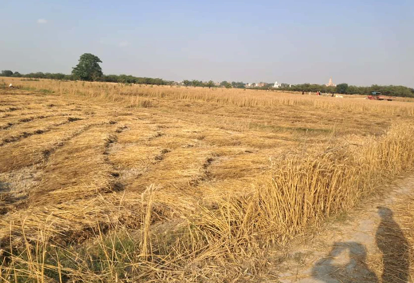 Barnagar, Madhya Pradesh 456771, India