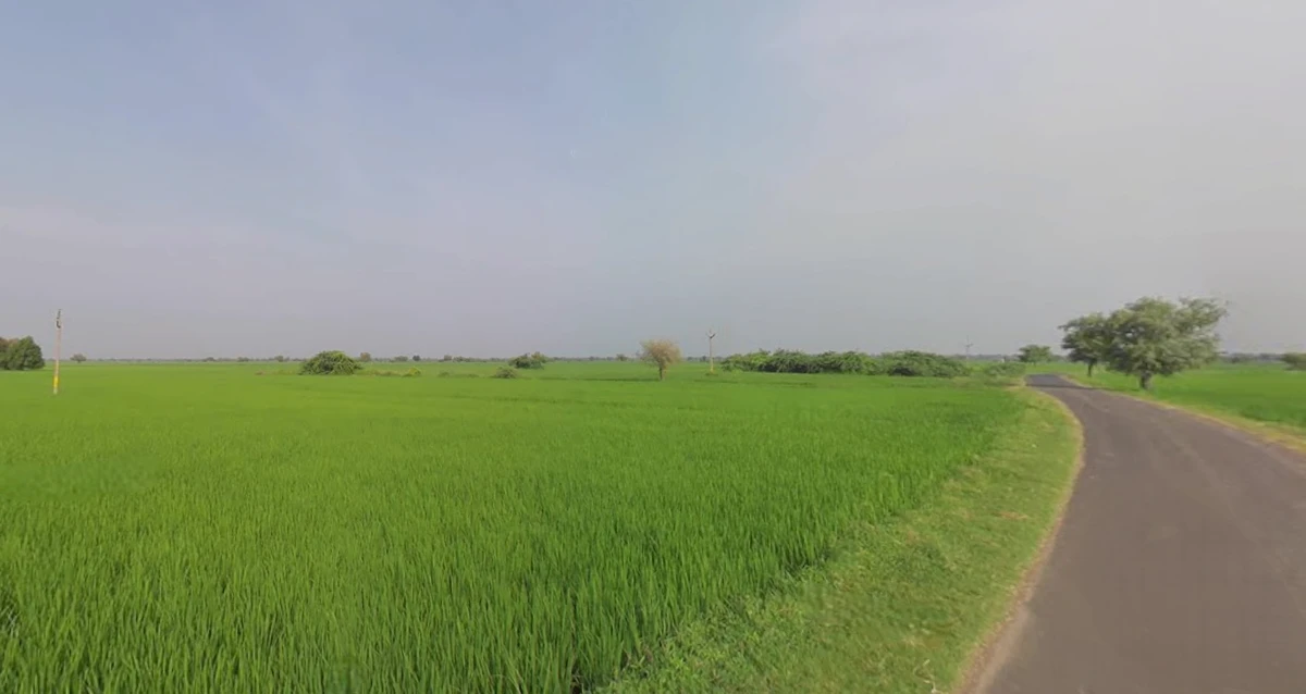 JHP8+99 Nadhanpur, Gujarat, India