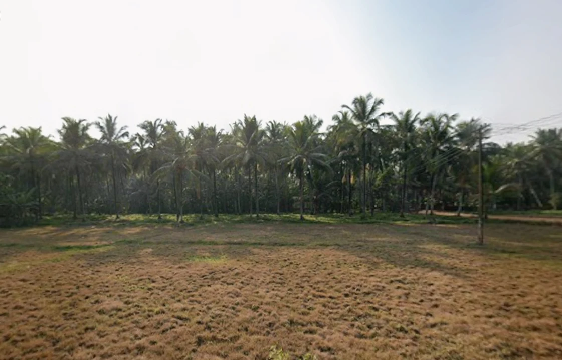 9X97+F2W, Omassery, Kerala 673582, India preview 4