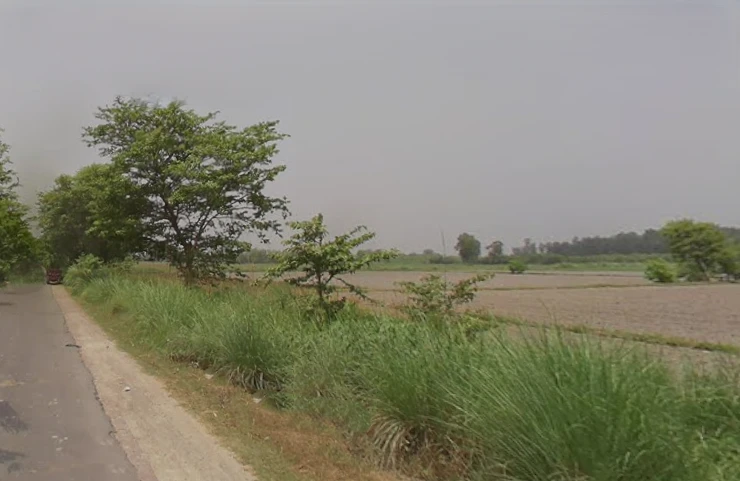 5285+345, Hastinapur, Uttar Pradesh 250404, India