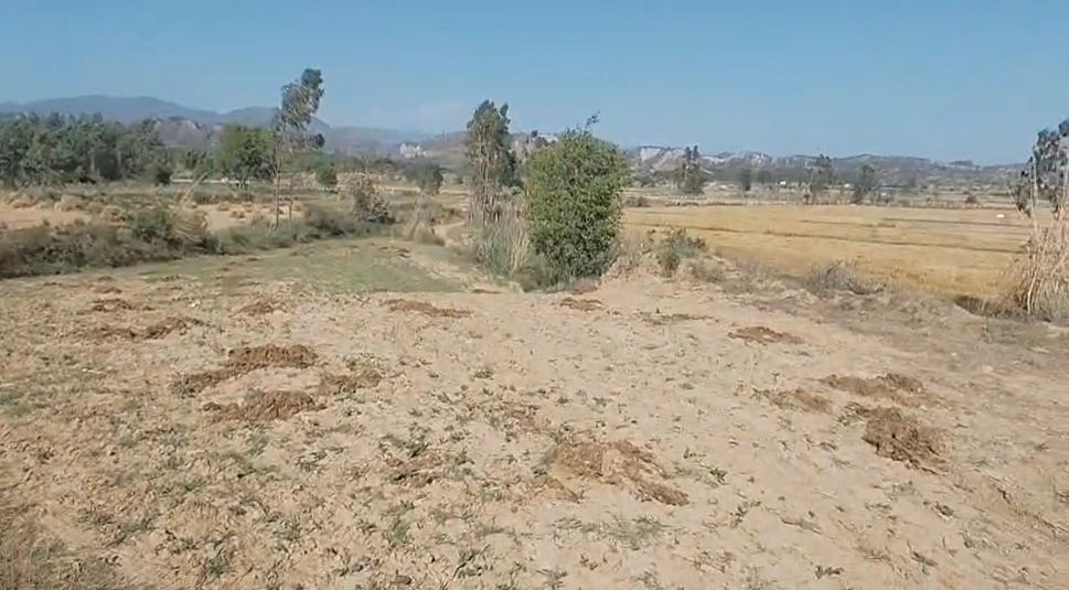 Raipur Rani, Haryana 134204, India