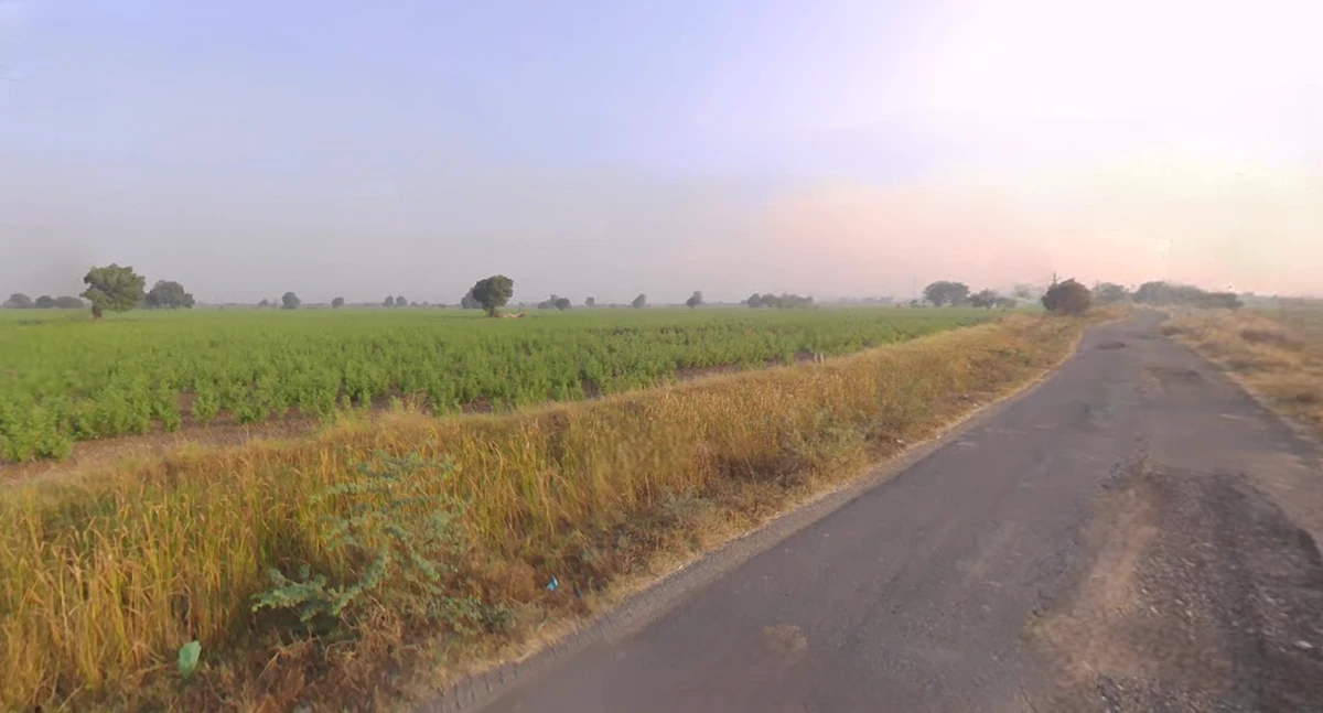 5XFF+P8 Kaliyana, Gujarat, India