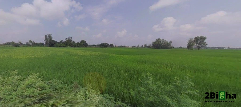 Sonaee Kazehra, Uttar Pradesh, India