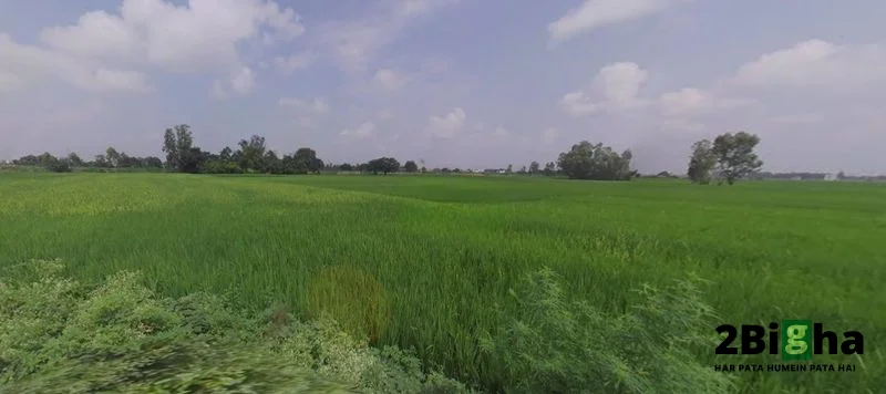 Sonaee Kazehra, Uttar Pradesh, India preview 3