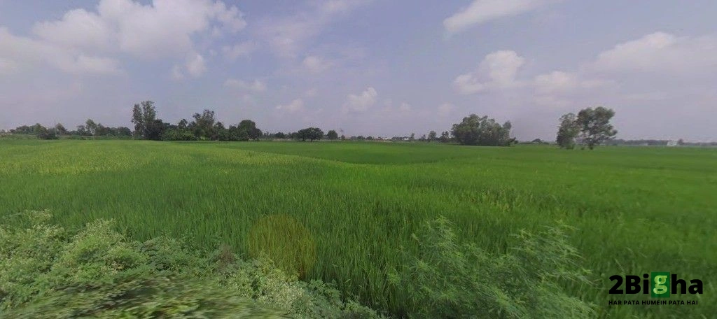 Sonaee Kazehra, Uttar Pradesh, India