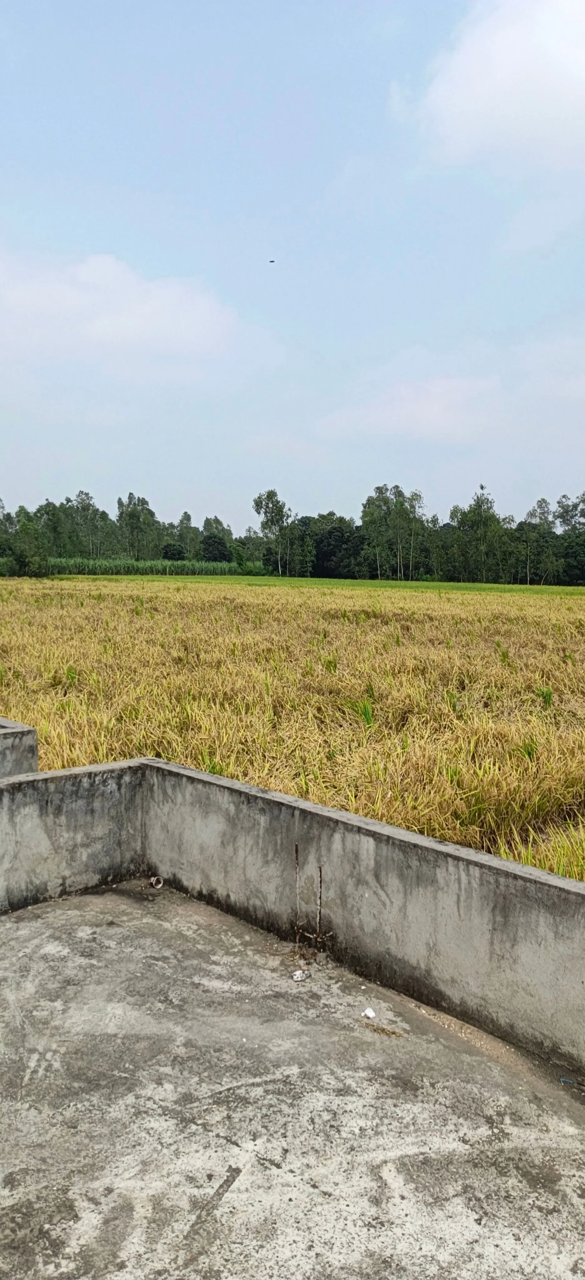 Nagina, Bijnor, Uttar Pradesh 246762, India - Photo 3