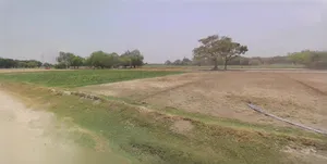 Panipat, Haryana, India preview 3