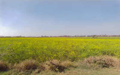 Talao, Haryana 124103, India preview 3