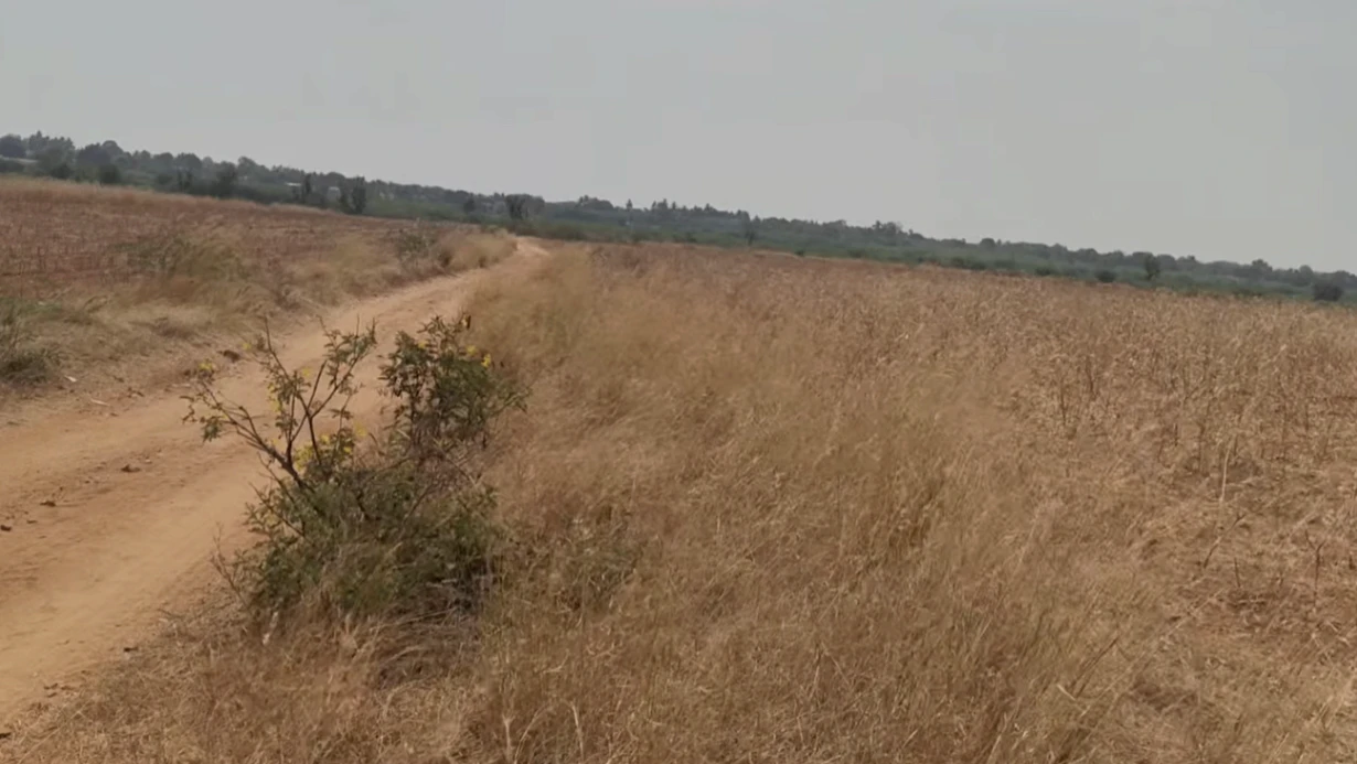 Penukonda, Andhra Pradesh, India