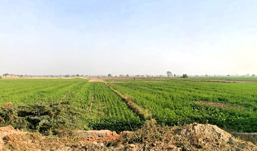 Bawani Khera, Haryana 127032, India
