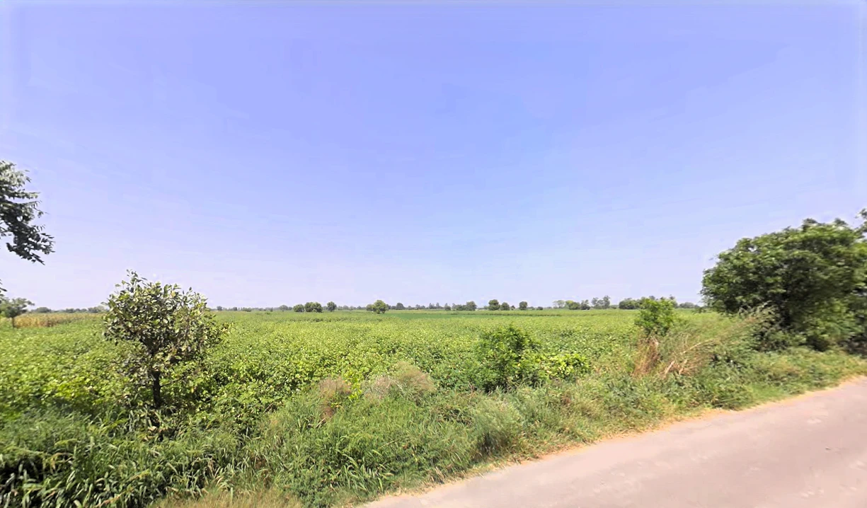 Bawani Khera, Haryana 127032, India