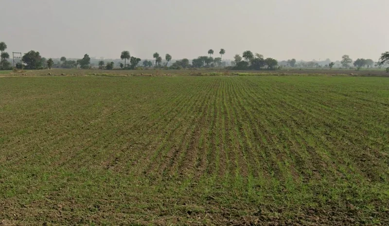 Indore, Madhya Pradesh, India preview 2