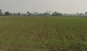 Indore, Madhya Pradesh, India preview 2