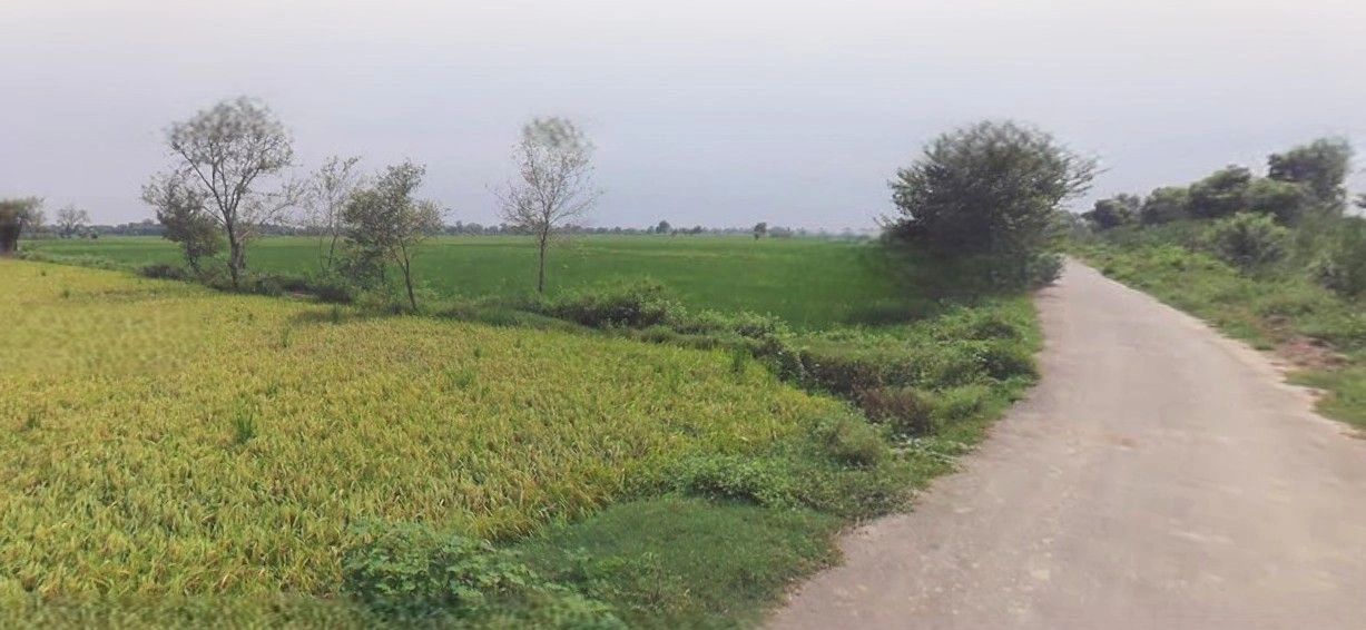 Kalapipal Mandi, Madhya Pradesh 465337, India