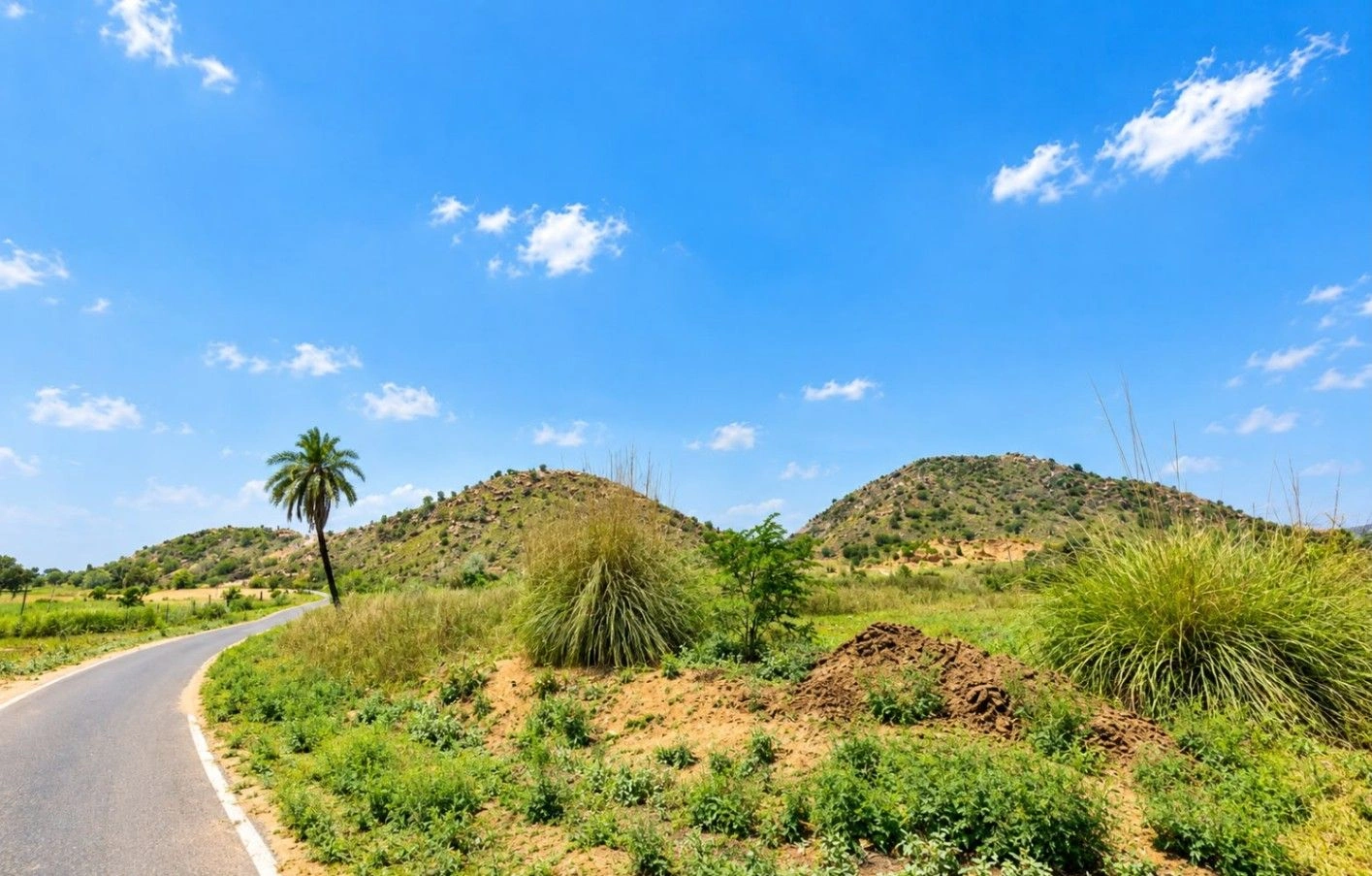 739G+6XF, Jaipur, Bobari - Gol Rd, Gol, Rajasthan 303120, India
