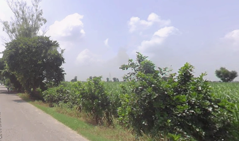 Alamgir Pur, Uttar Pradesh 250502, India