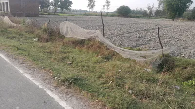 J3R5+4J Mukimpur Urf Paharpur, Uttar Pradesh, India preview 2