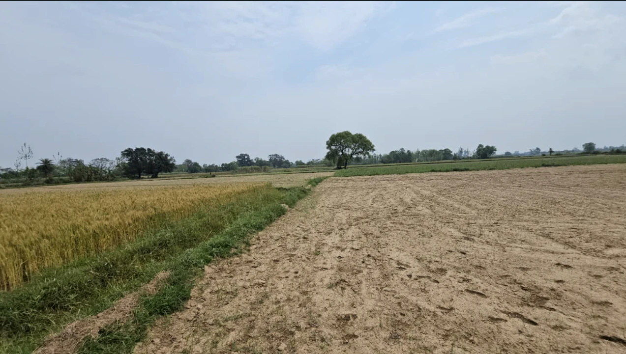 Dinod, Gujarat 394125, India