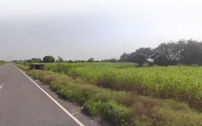 Jatipura, Uttar Pradesh, India preview 3
