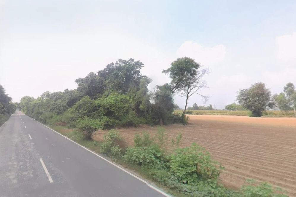 Sandila, Uttar Pradesh 241204, India