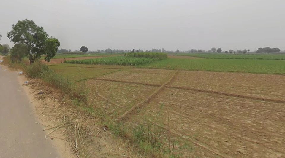 Vill Matora, Po, Mawana, Mataura, Uttar Pradesh 250401, India