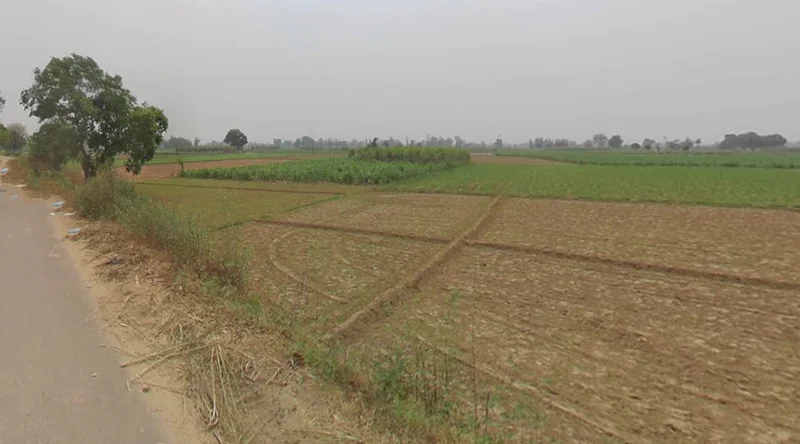 Vill Matora, Po, Mawana, Mataura, Uttar Pradesh 250401, India preview 3