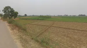 Vill Matora, Po, Mawana, Mataura, Uttar Pradesh 250401, India preview 3