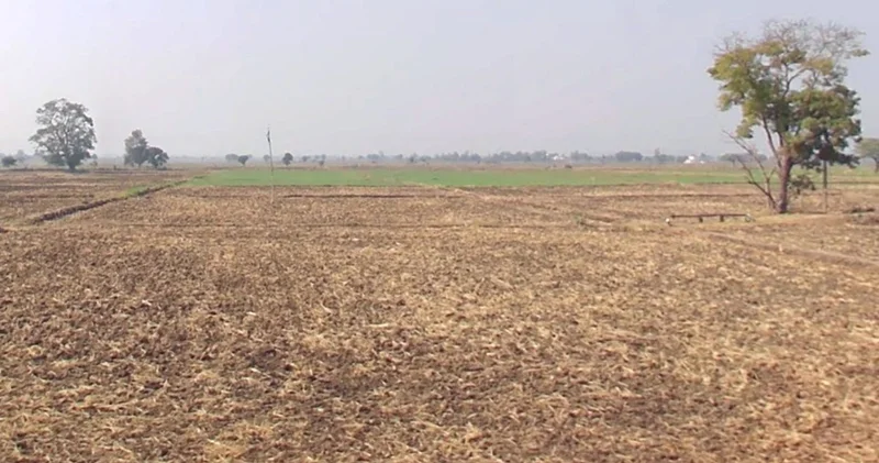 Aankhkhedi, Madhya Pradesh 464993, India preview 2