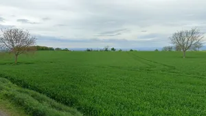 Upda, Madhya Pradesh, India preview 3