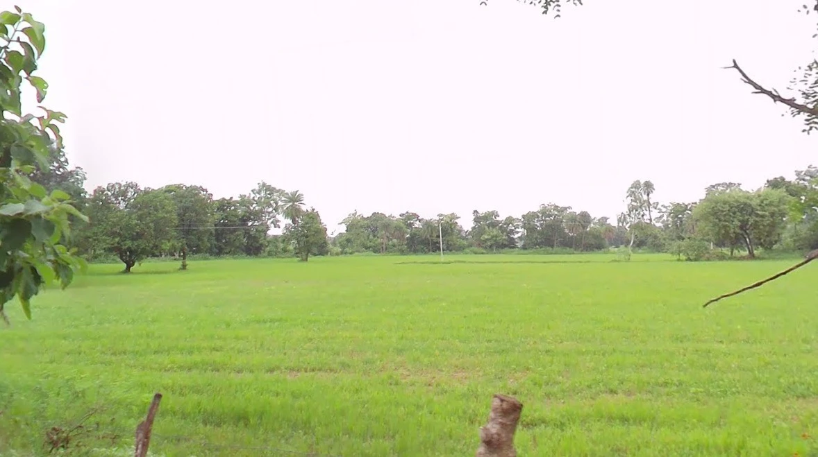 Obaidullaganj, Madhya Pradesh 464993, India