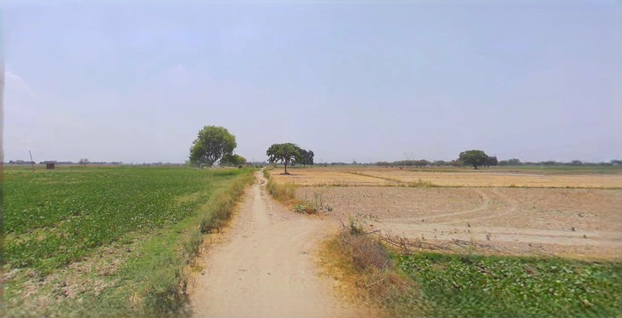 Barnagar, Madhya Pradesh 456771, India