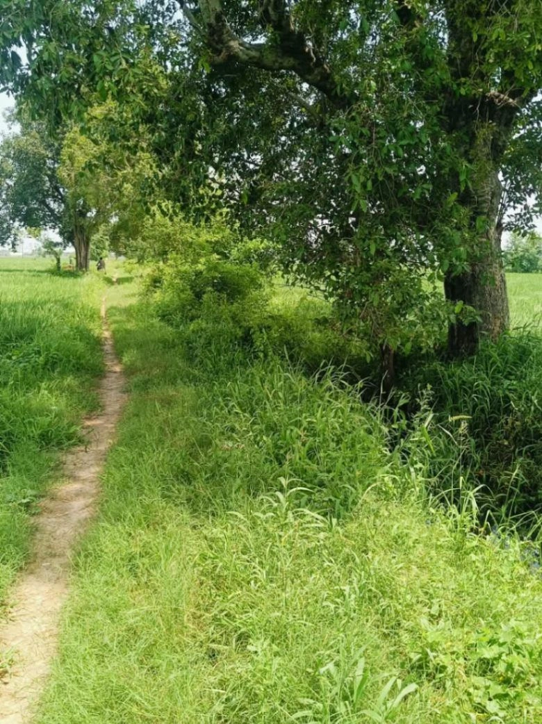 Borpa, Mathura, Uttar Pradesh, India
