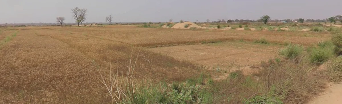 Naubatpur, Bihar 801109, India