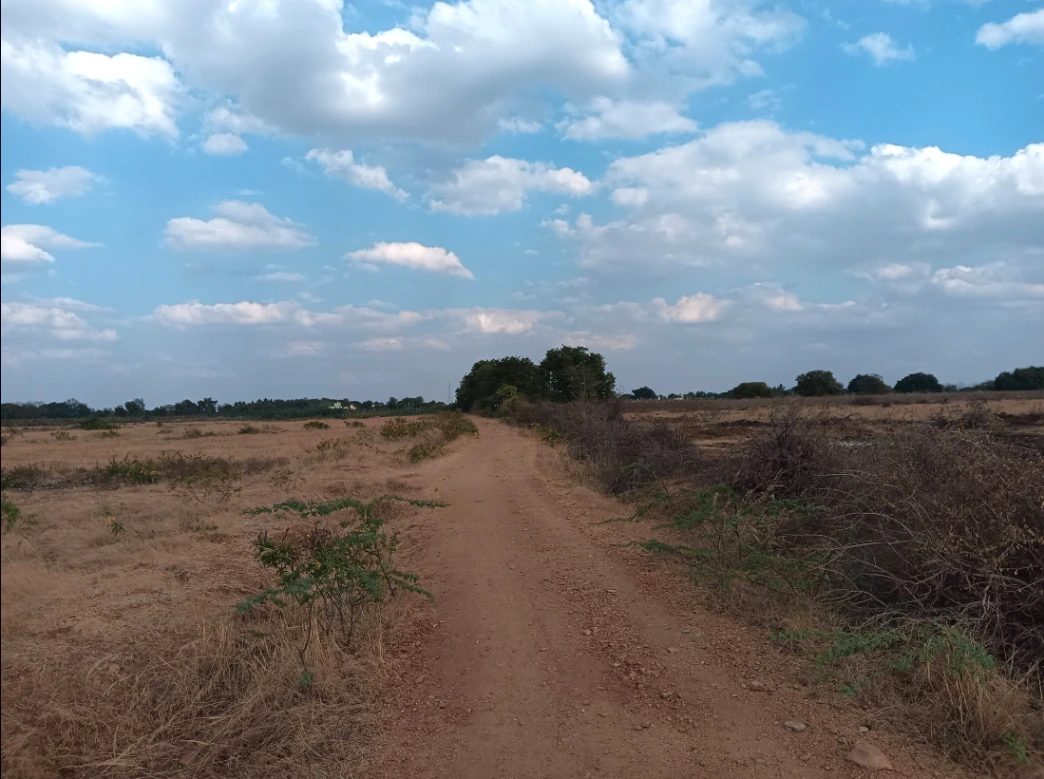 WJXJ+QV Hiriyur, Karnataka, India