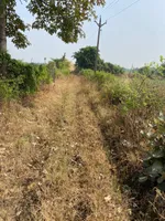 Narmadapuram, Madhya Pradesh, India preview 6