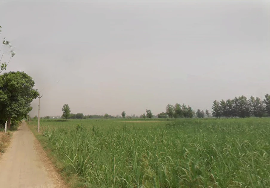 Pathanpura, Uttar Pradesh 250005, India