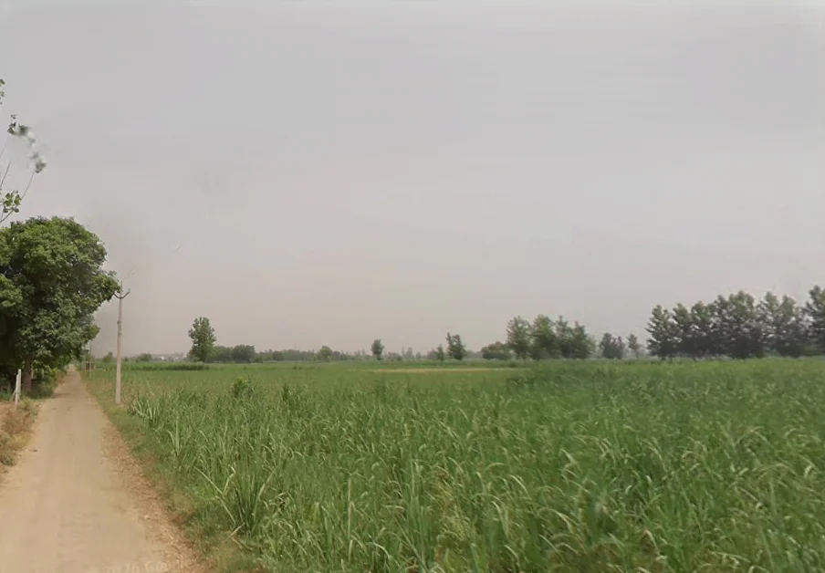 Pathanpura, Uttar Pradesh 250005, India preview 2