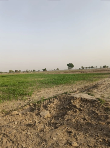 Phagwara, Punjab, India