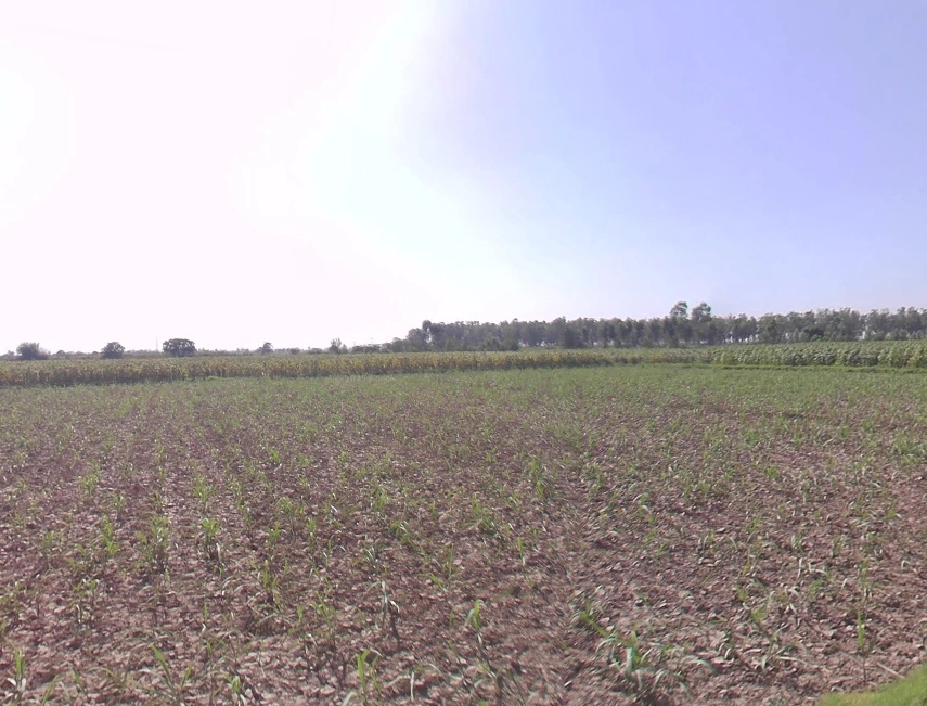 Shahbad, Haryana 136135, India