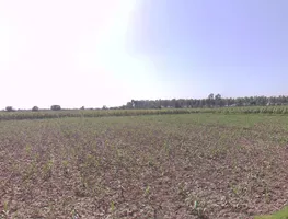 Shahbad, Haryana 136135, India preview 3