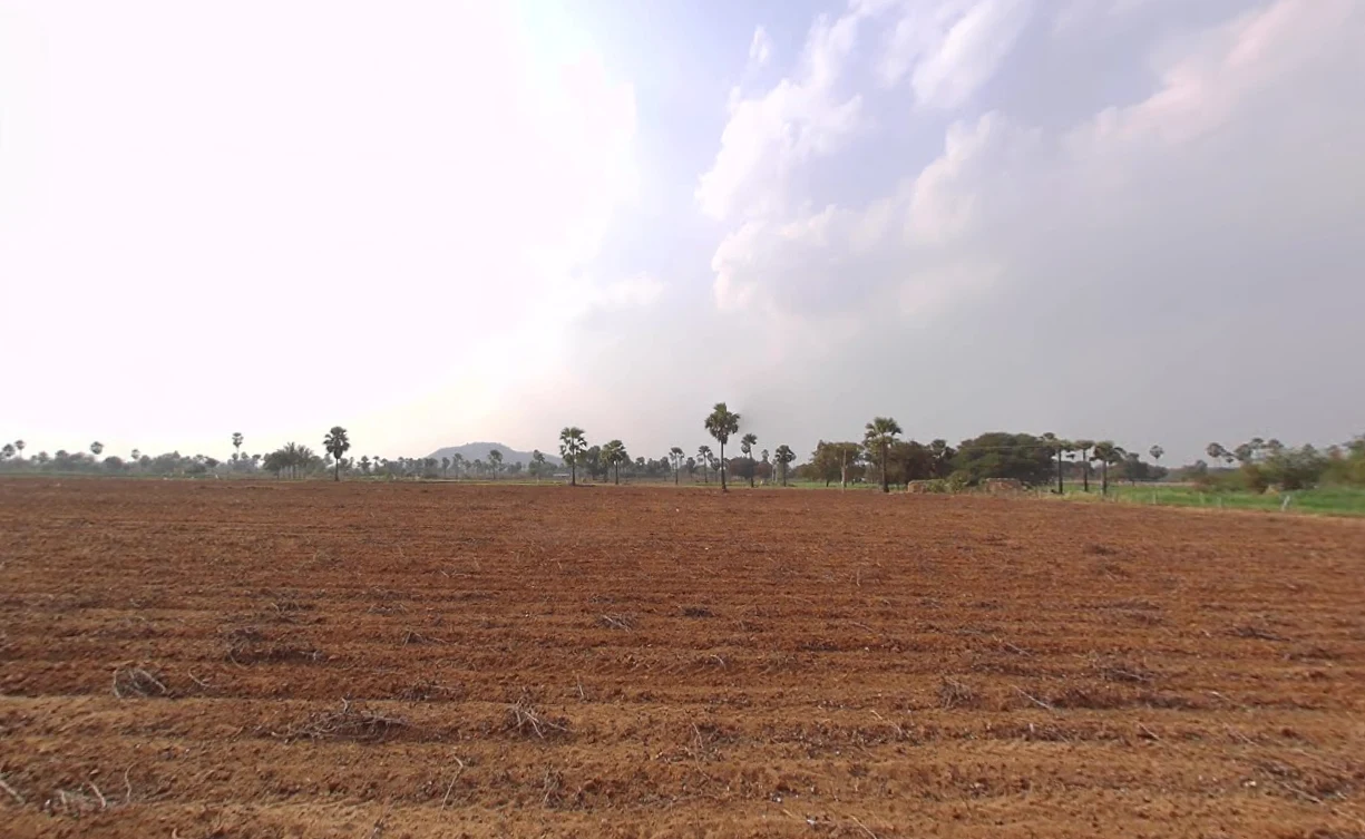 JXCP+XJ Tallagudem, Telangana, India