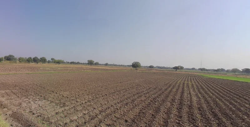 Ghaghosar, Gujarat 363421, India preview 2