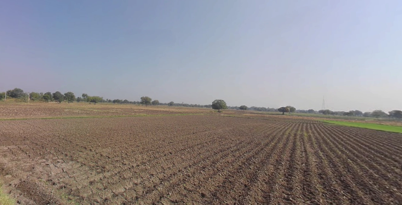 Ghaghosar, Gujarat 363421, India