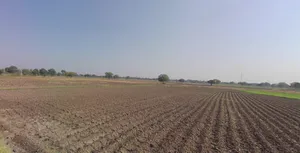 Ghaghosar, Gujarat 363421, India preview 2